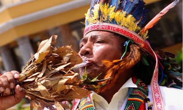 chaman